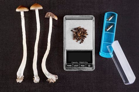 Urban Magic Mushrooms: A Catalyst for Personal Growth and Self-Discovery